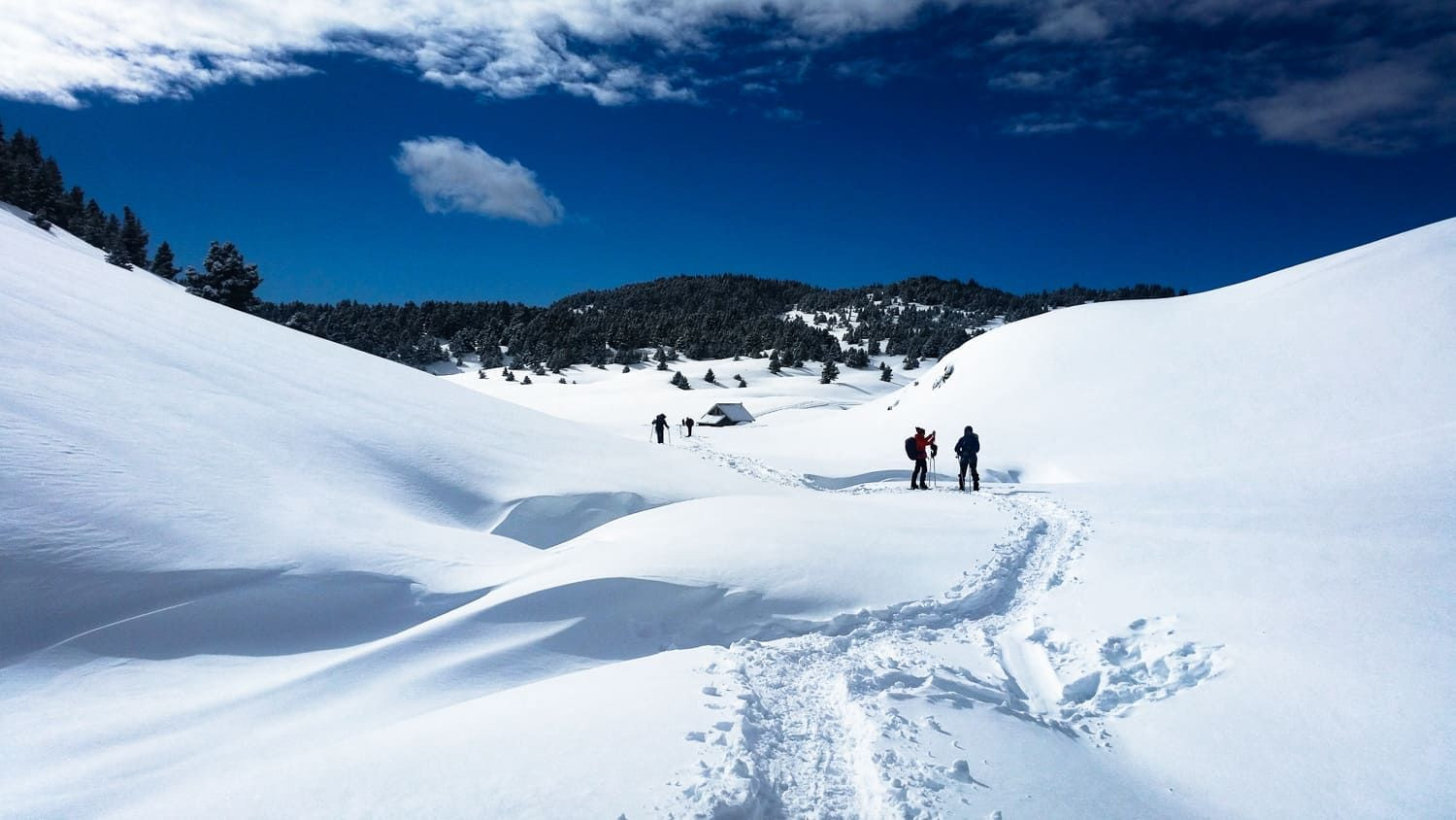 Randonneurs en raquettes dans la neige - Vercors - France
