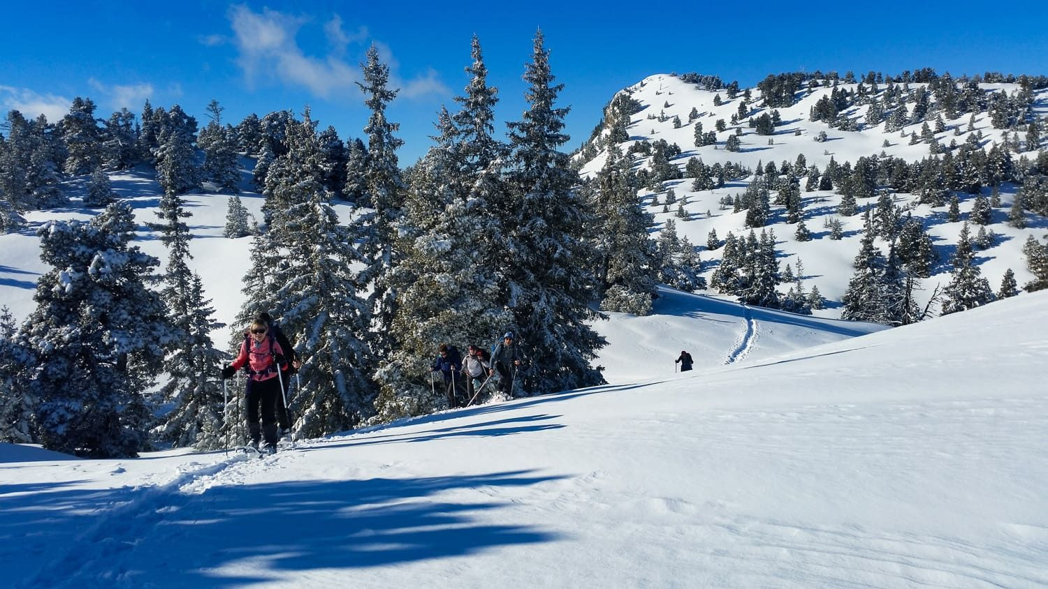 Randonnée en raquettes sur les plateaux enneigés - Vercors - France
