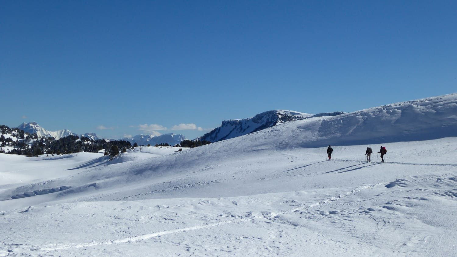 Randonneurs en raquettes sur les hauts plateaux enneigés - Vercors - France