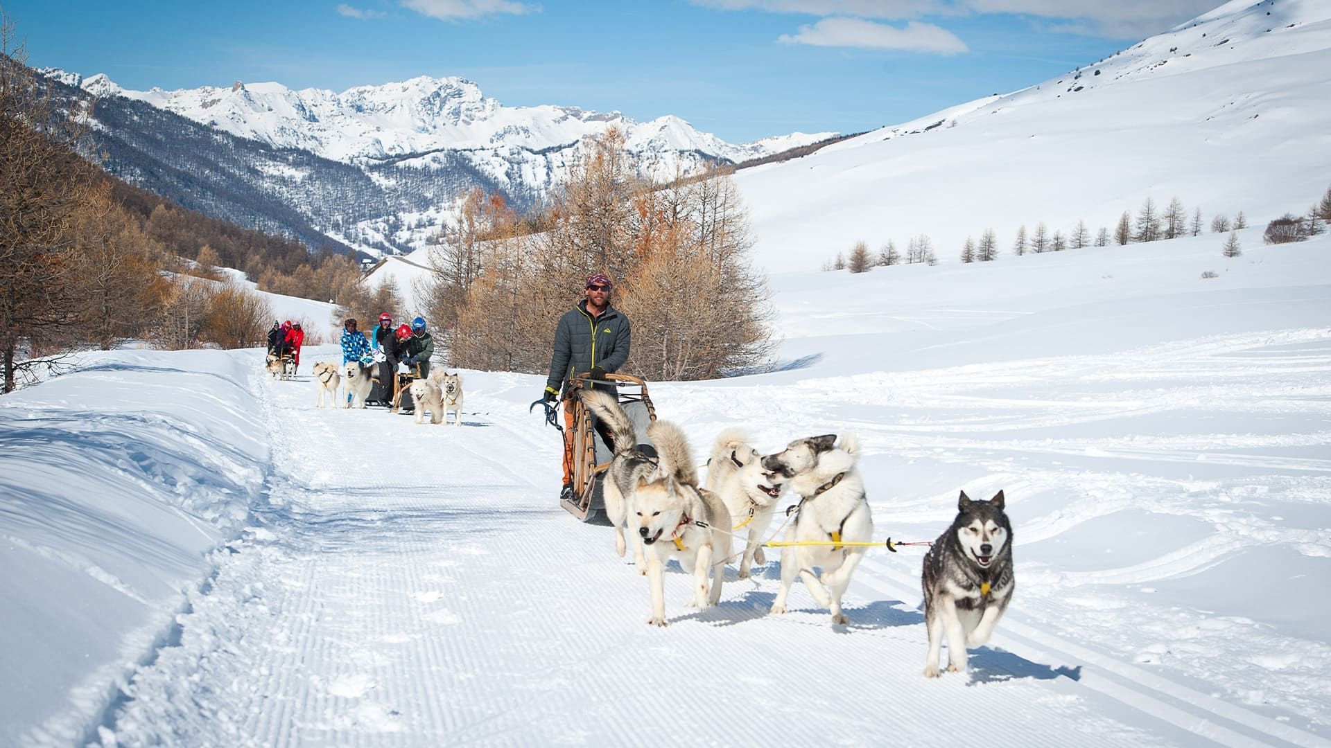 Balade en chiens de traîneau dans la neige - Queyras - Hautes-Alpes - France