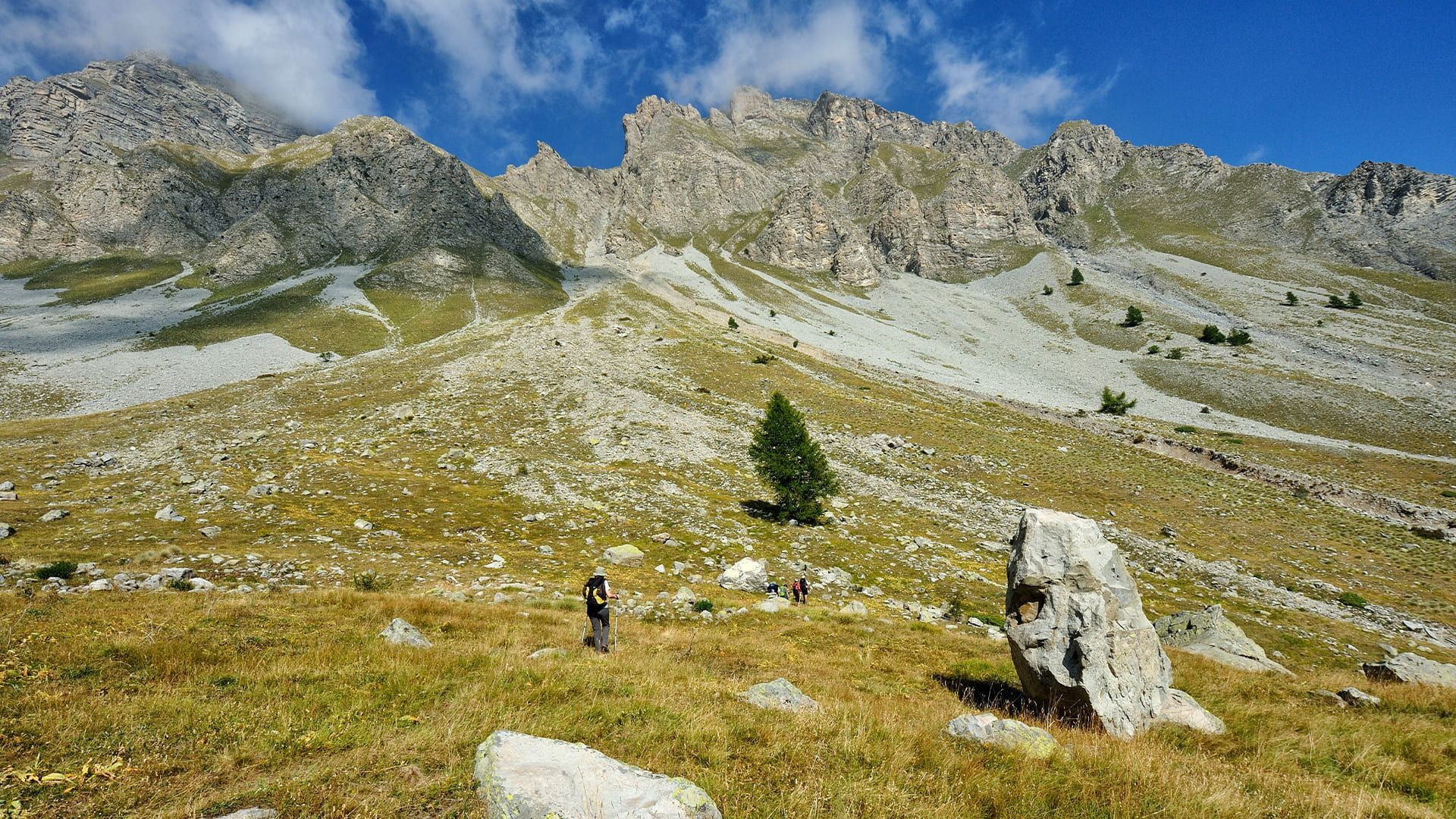 Randonneurs sur alpage entre Couesto et Garrets - Mercantour - France