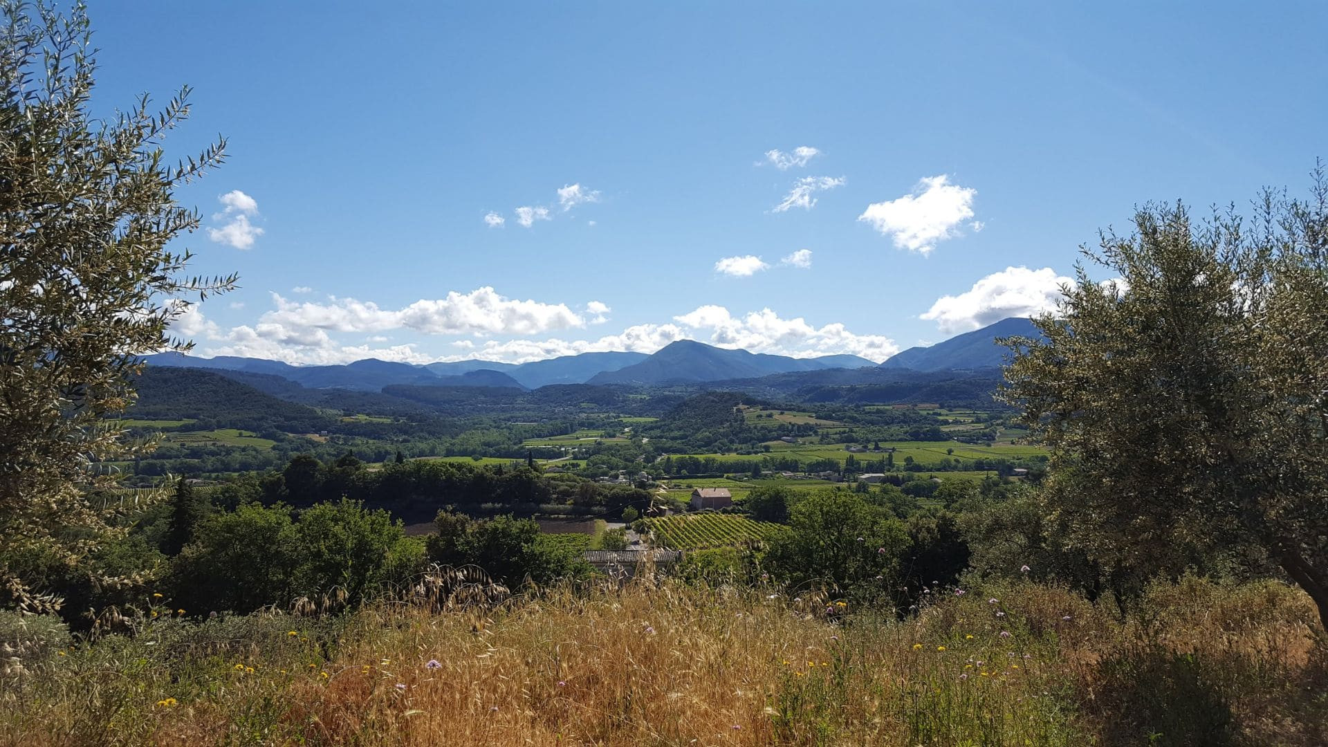 vallee-de-la-drome-entre-la-provence-et-le-vercors