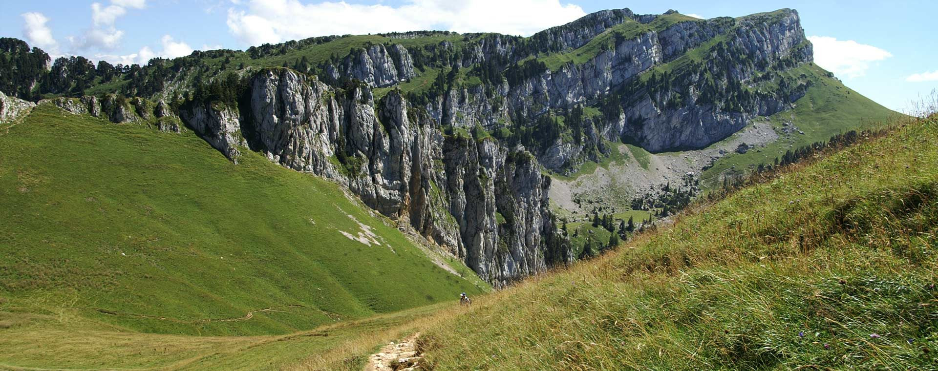 Falaises calcaires et alpages - Massif de la Chartreuse - France