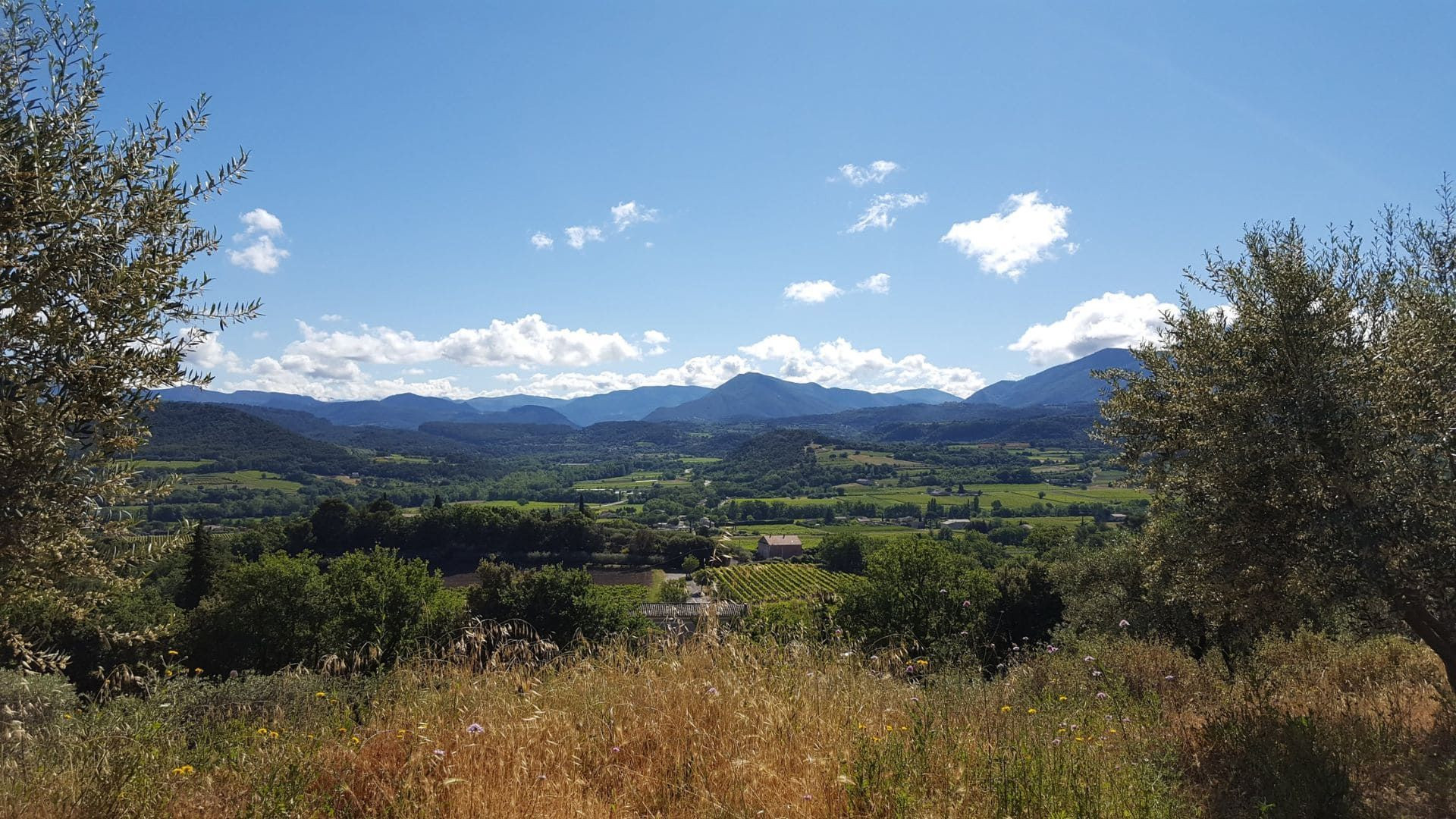 Vallée de la Drôme entre Provence et Vercors - Drôme - France