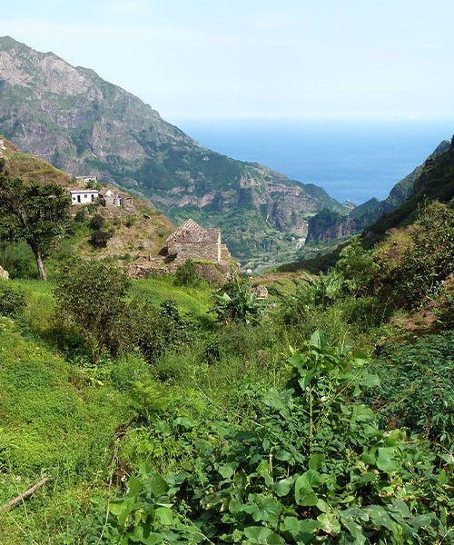 Vallee De Paul