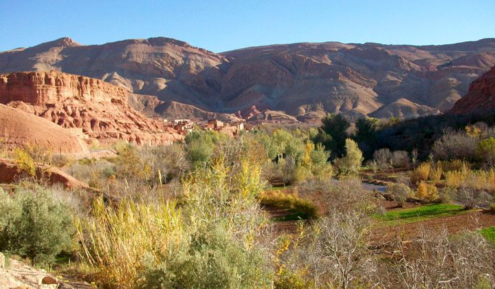 Vallée des Roses - Maroc
