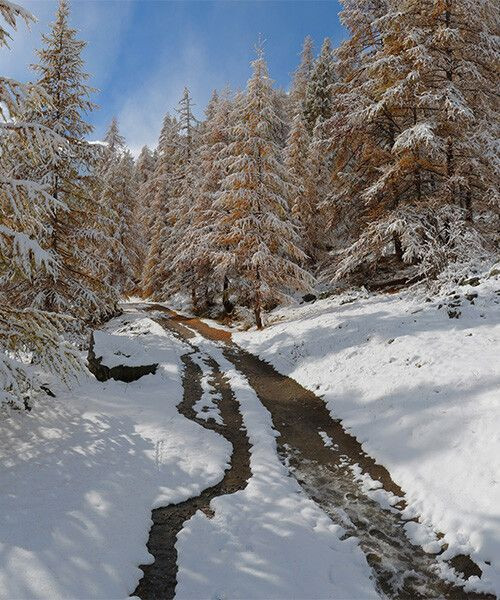 © Adobe Stock Vallon de Narreyroux