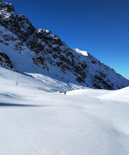 Vallon du longet