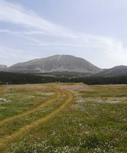 Hauts Plateaux du Vercors avec le Grand Veymont - France