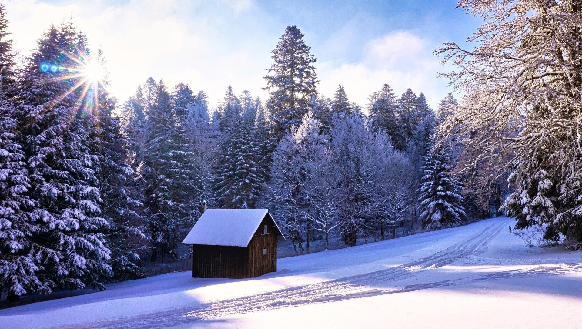 Cabane en bois et forêt enneigée en plein soleil - Vercors - France