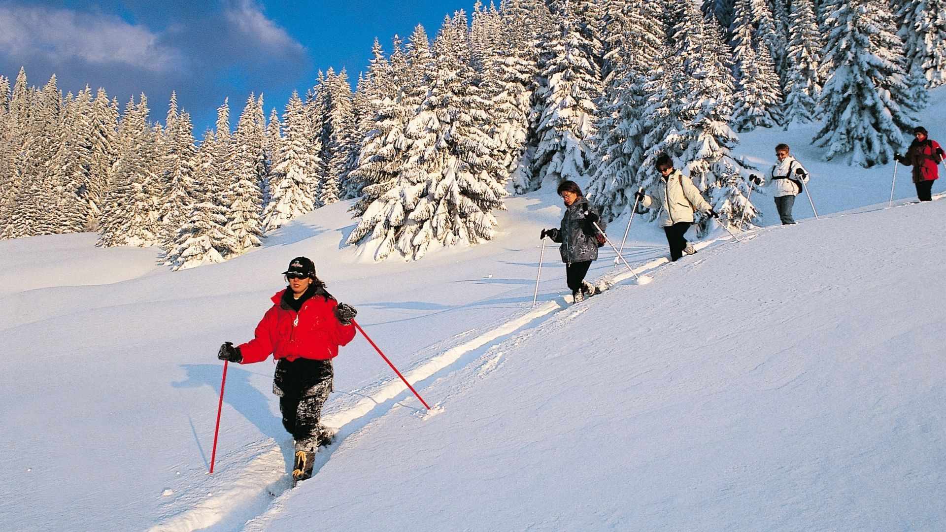 Groupe en raquettes dans la neige et les sapins enneigés - Vercors - France