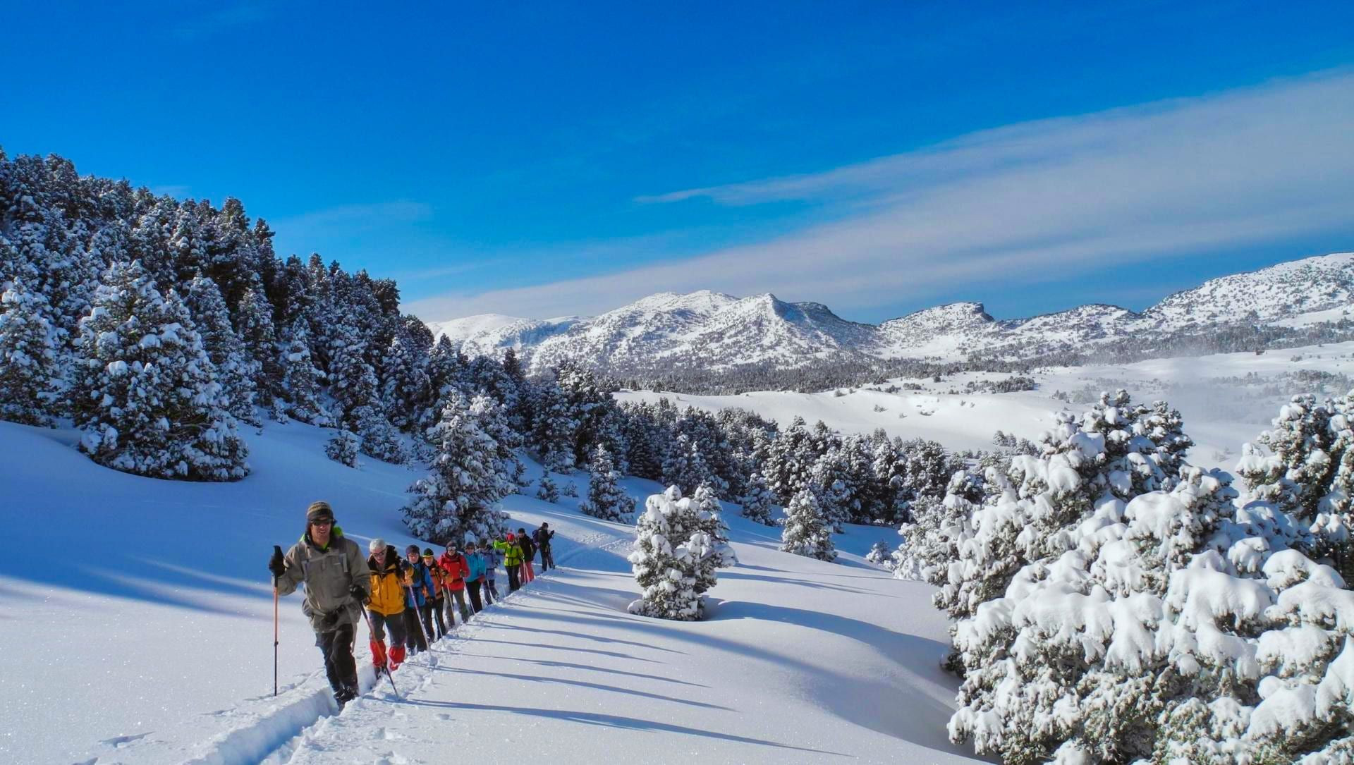 Groupe en raquettes dans les forêts enneigées du Vercors - Alpes - France