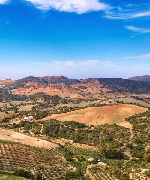 Vers Puerto Serano à vélo - Andalousie - Espagne