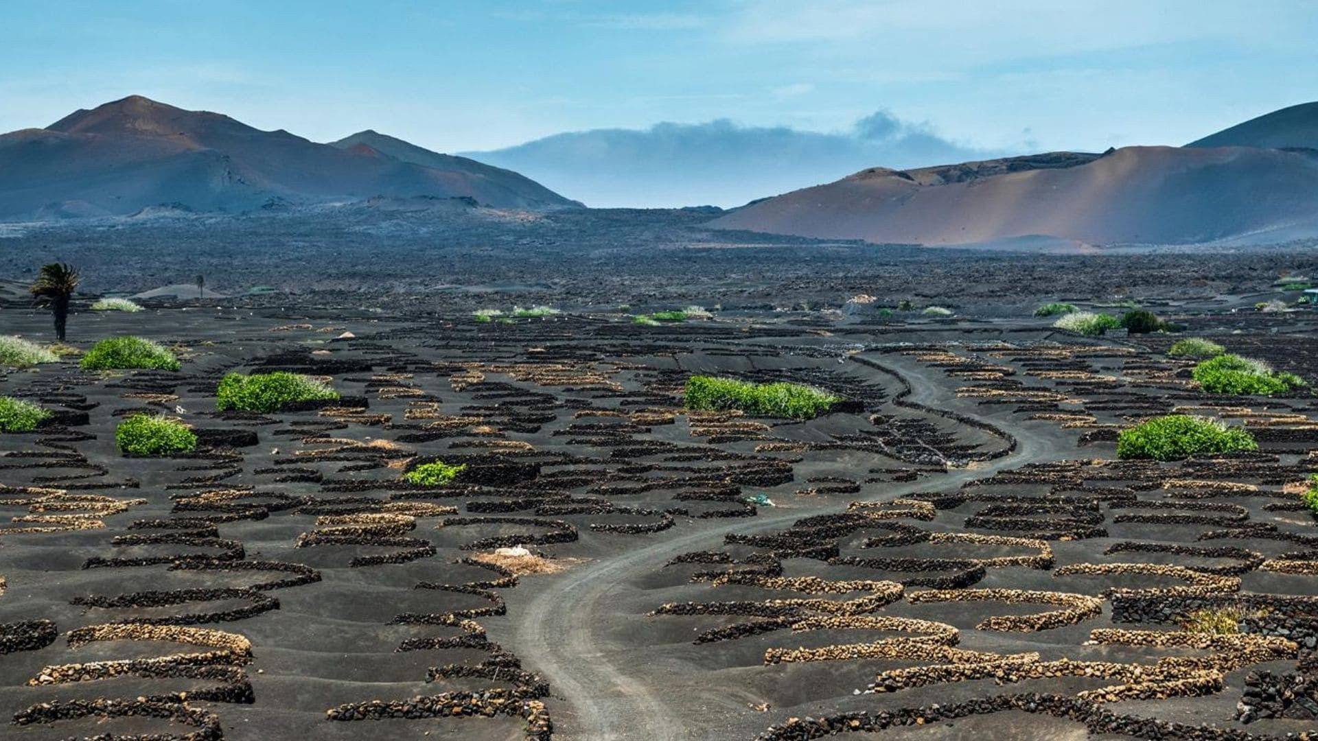 Vignobles volcaniques de La Geria - Lanzarote - Canaries - Espagne
