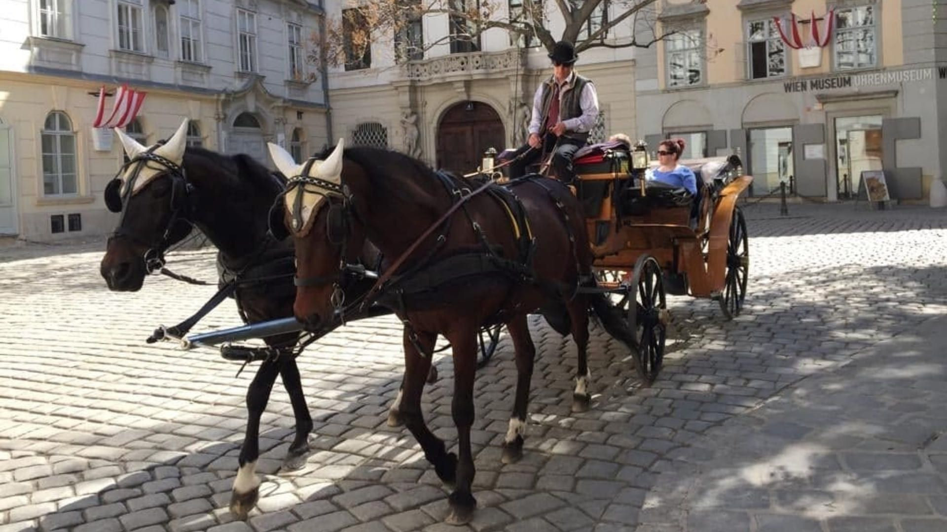 Vienne Hofburg Caleche C Oriane Tempe - Autriche