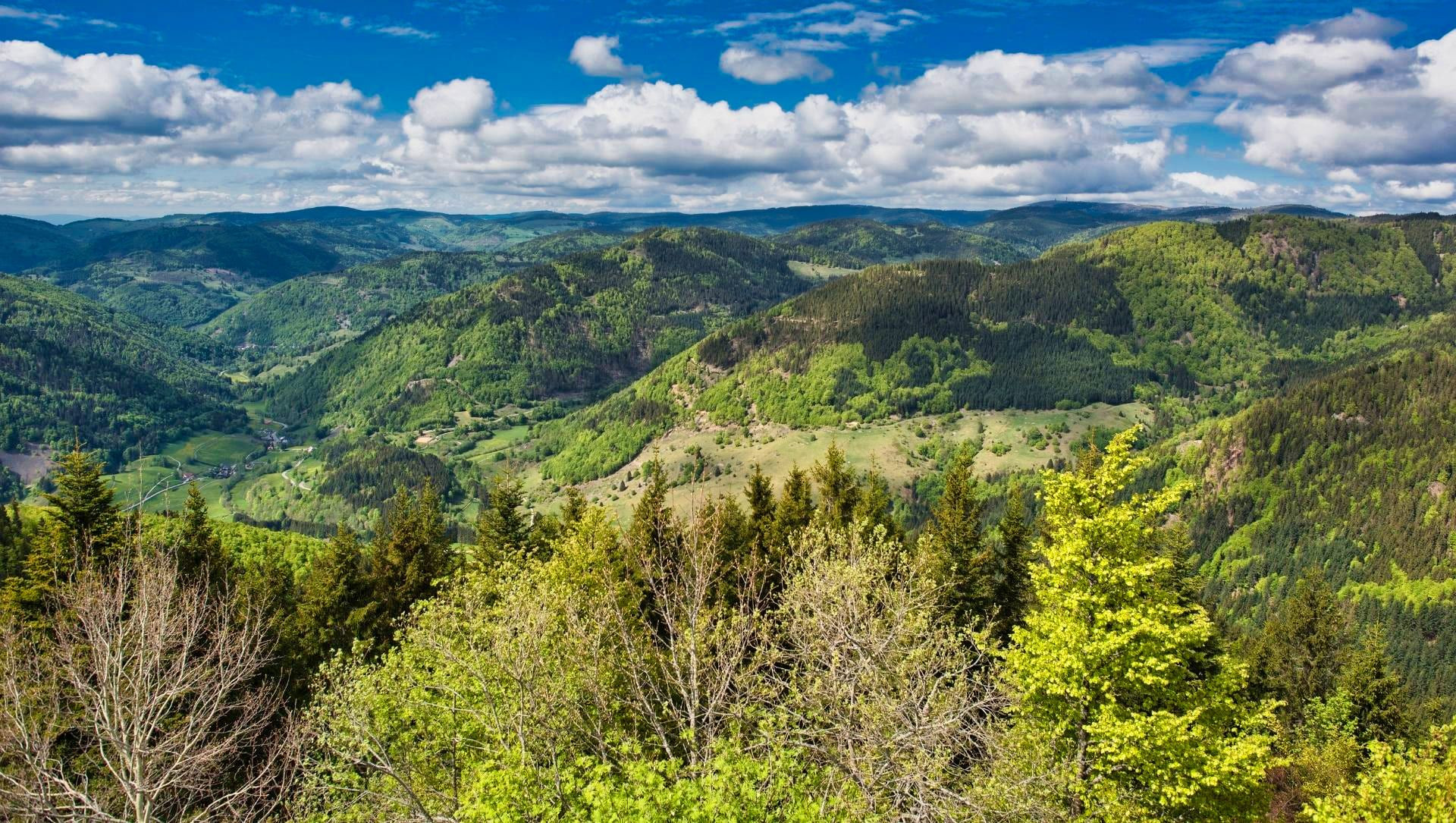 © Adobe Stock Vue depuis le sommet du Hochkopf sur les vallées boisées - Forêt-Noire - Allemagne