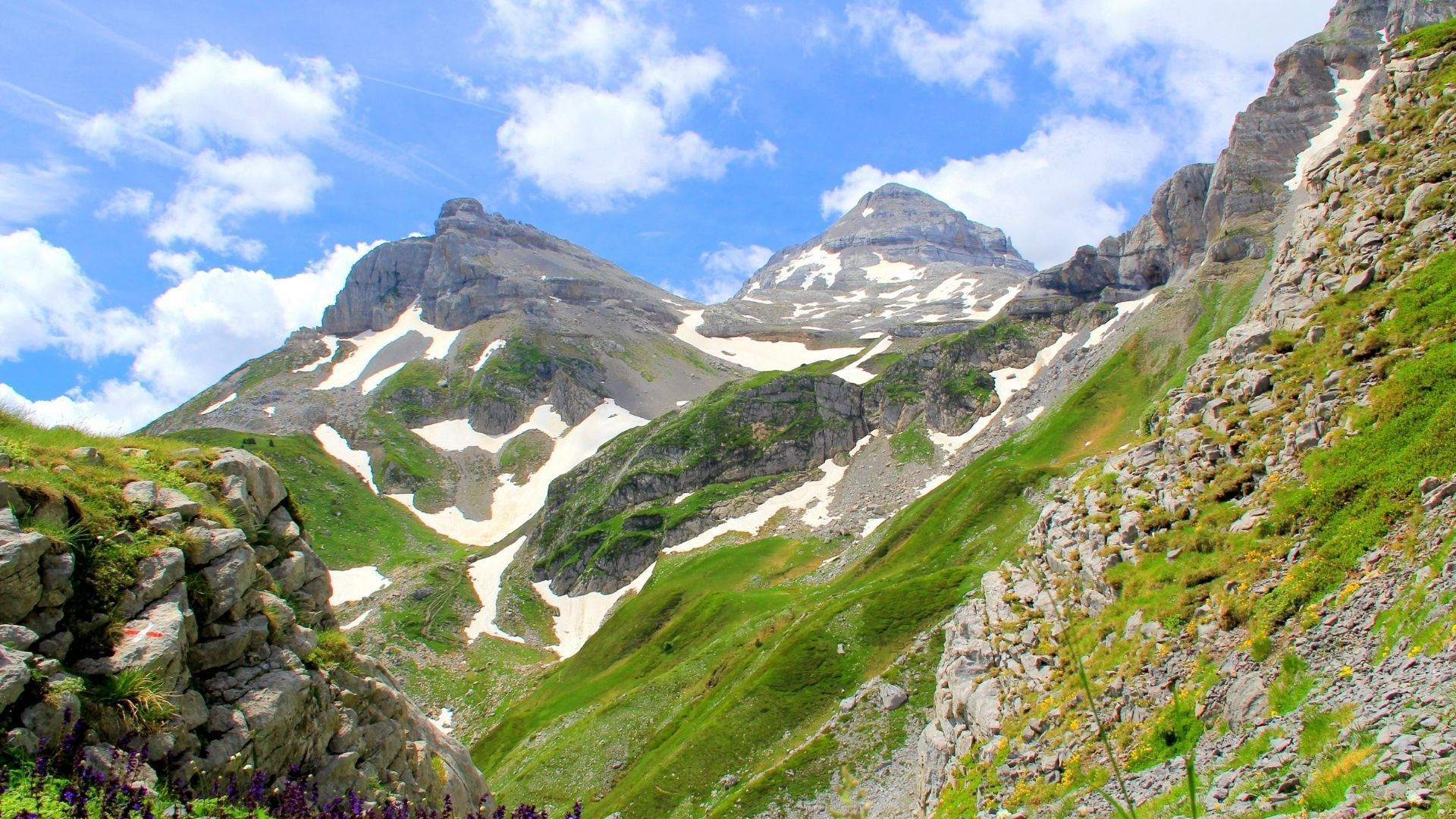 © Florent Delaunay Sommets et névés depuis le Pic Saint-Michel - Vercors - France