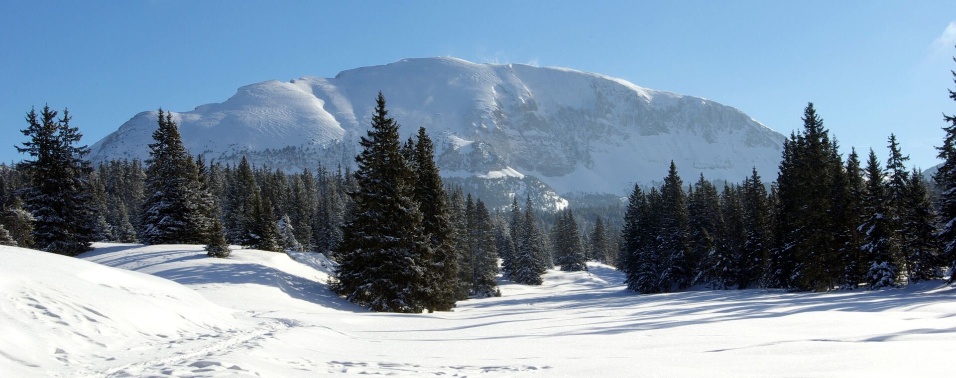Le Grand Veymont enneigé en hiver - Hauts-Plateaux du Vercors - Alpes, France