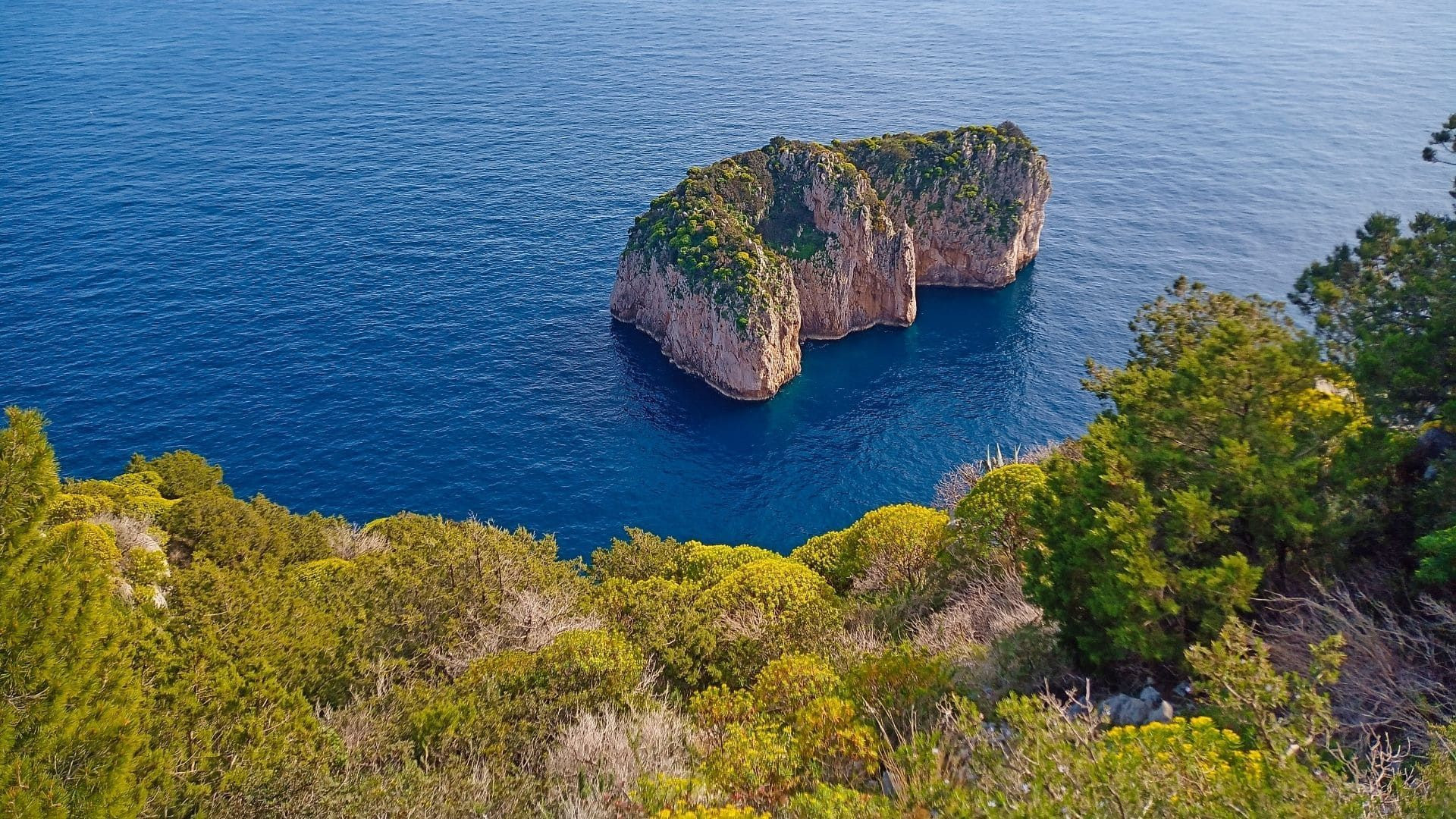 © Tania Gherli Îlot rocheux verdoyant dans la mer bleue - Capri - Italie