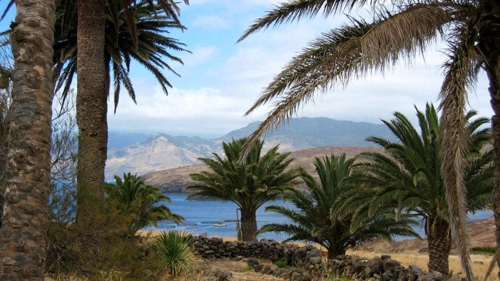 Palmiers, mer et montagnes - Madère - Portugal