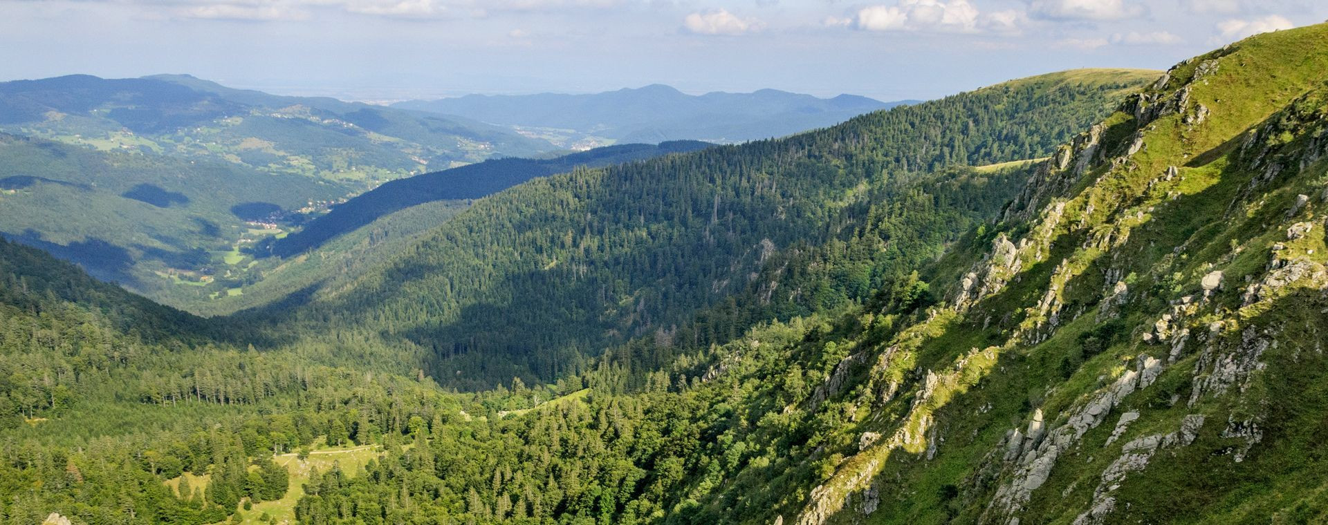 Vue sur la vallée de la Fecht depuis le Hohneck - Vosges - France
