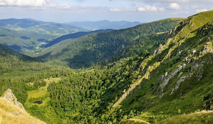 Vue Vallee Fecht Depuis Hohneck