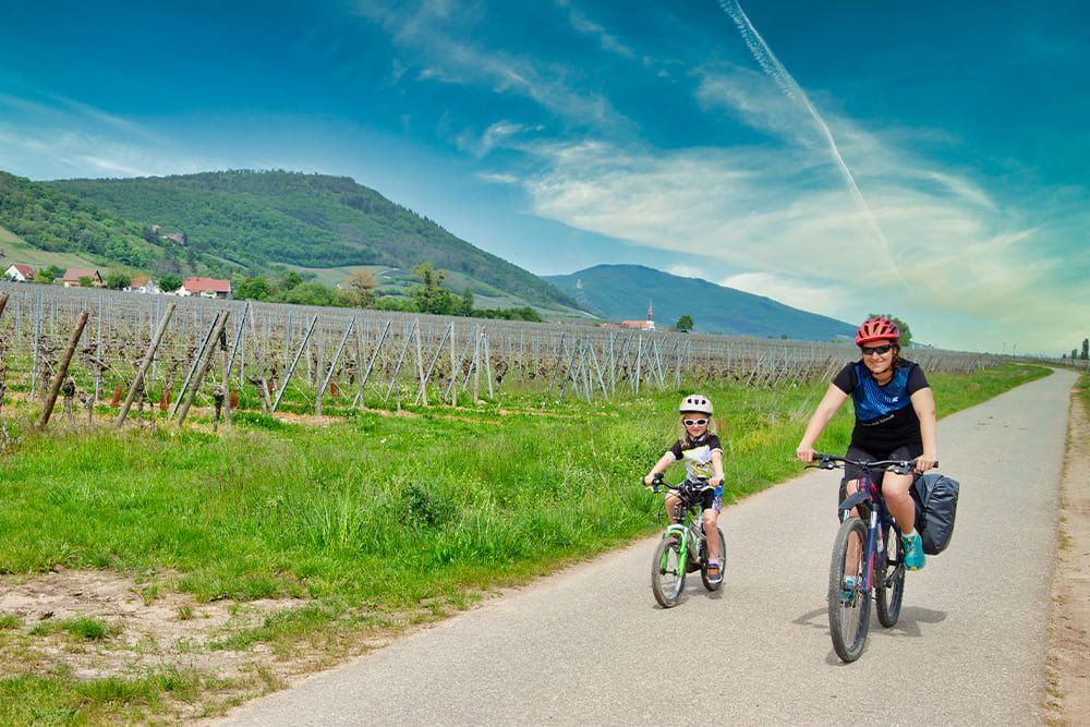 © Quentin Vanaker Famille à vélo le long des vignobles - Alsace - France