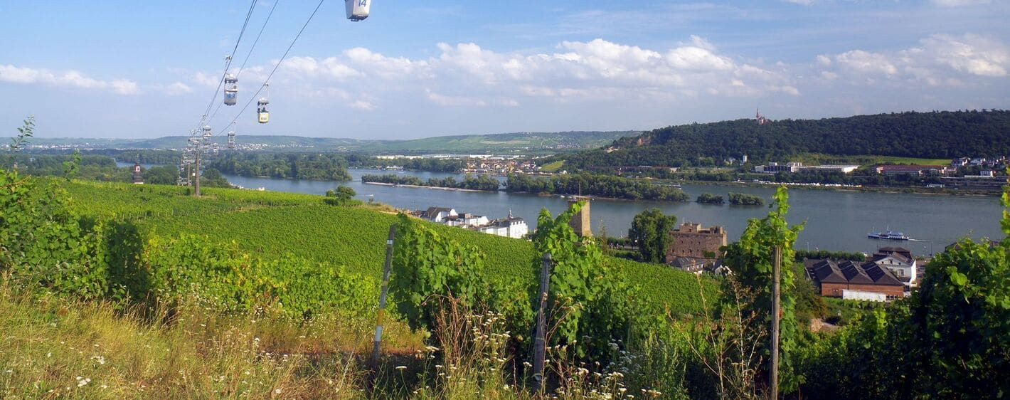 Vignobles et téléphérique au-dessus du Rhin - Rüdesheim am Rhein - Allemagne