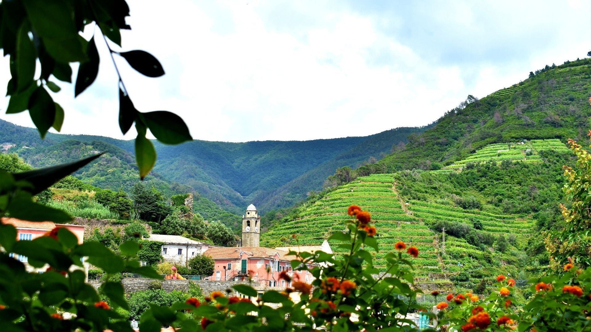Village et vignes en terrasses dans les collines - Cinque Terre - Ligurie - Italie