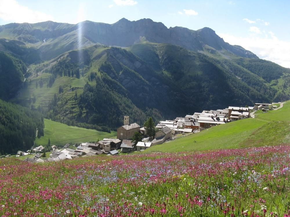 Village de montagne et prairie fleurie - Queyras - Alpes - France