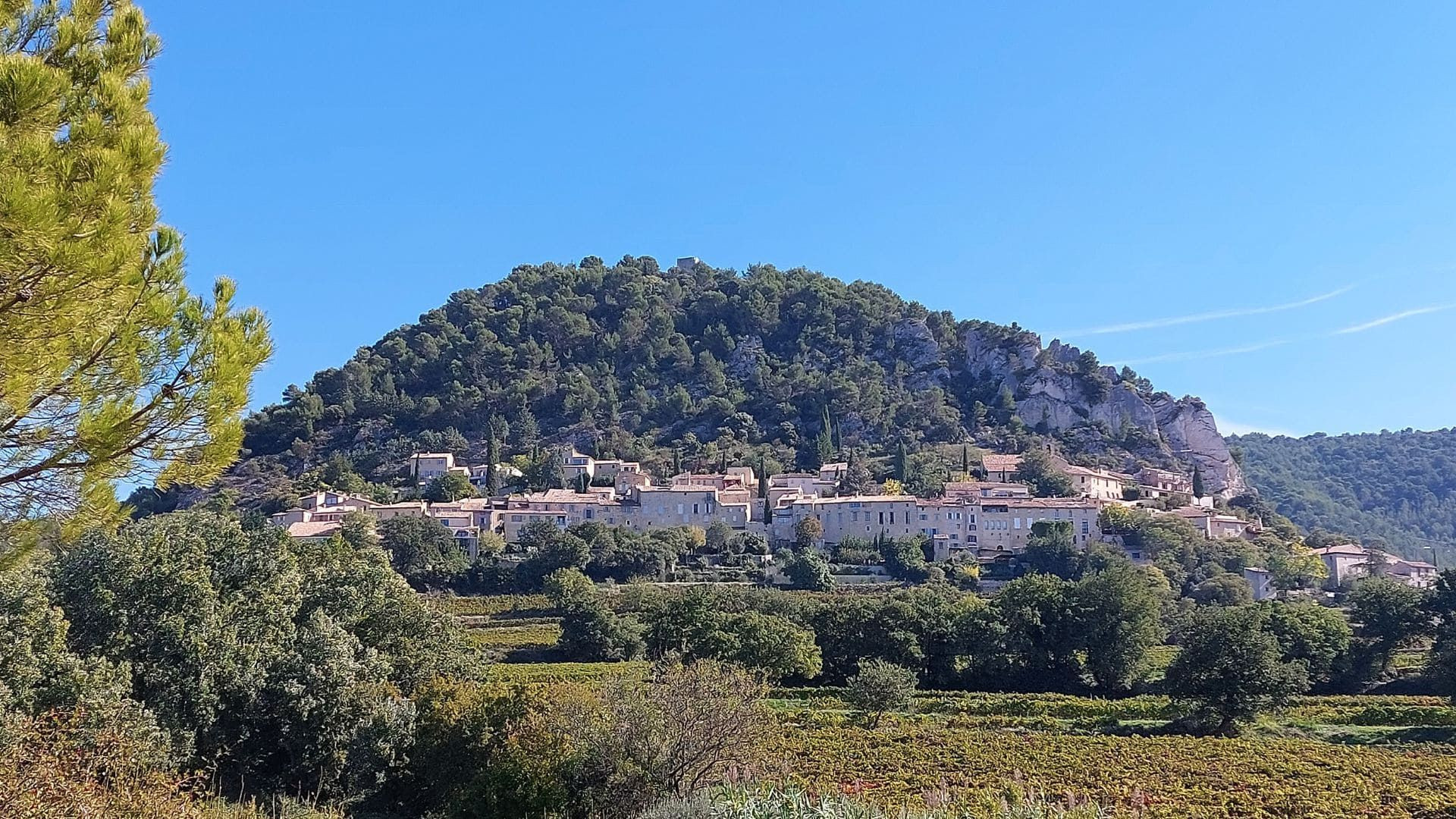 Village perché de Séguret et vignobles - Vaucluse - Provence - France