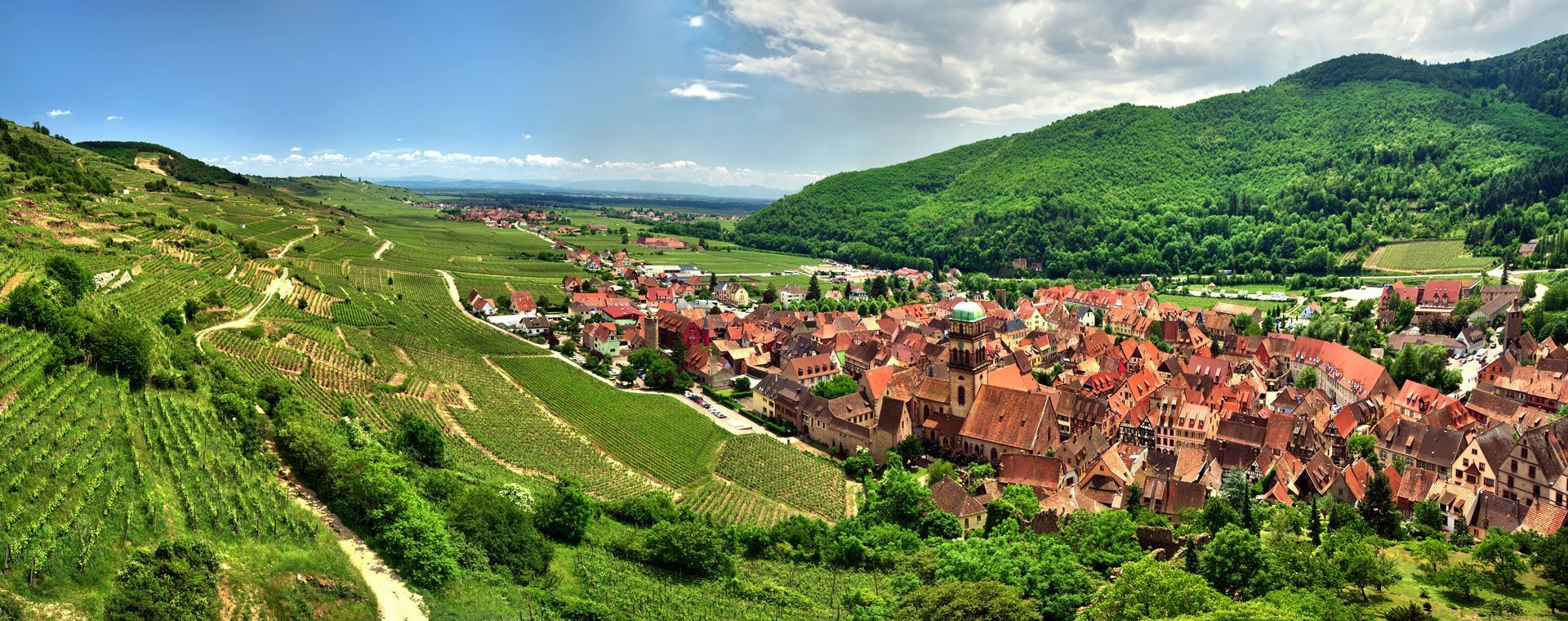 Village et vignobles de Kaysersberg - Haut-Rhin - Alsace - France