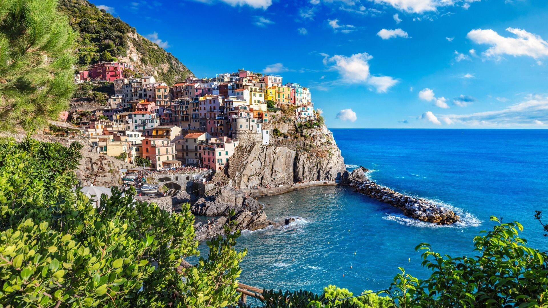 Village à flanc de falaise de Manarola - Cinque Terre - Ligurie - Italie