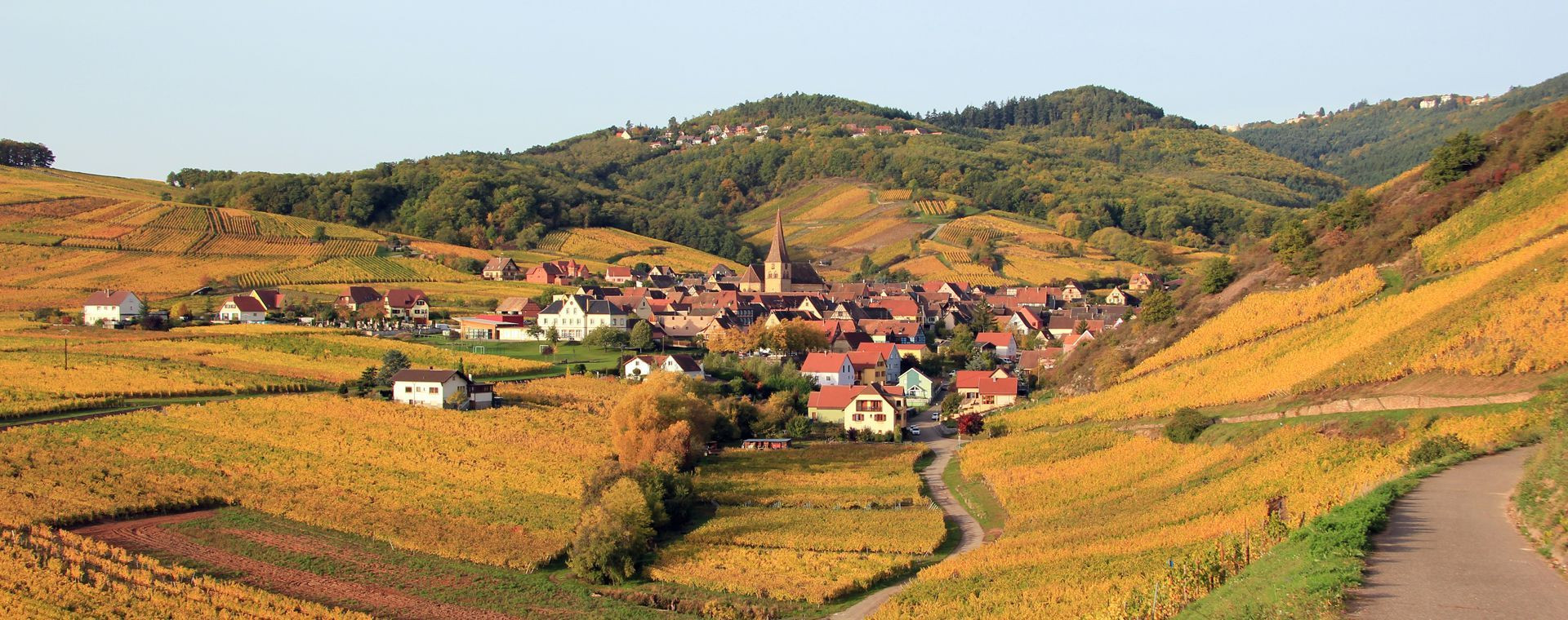 Village de Niedermorschwihr dans les vignes d'automne - Alsace - France