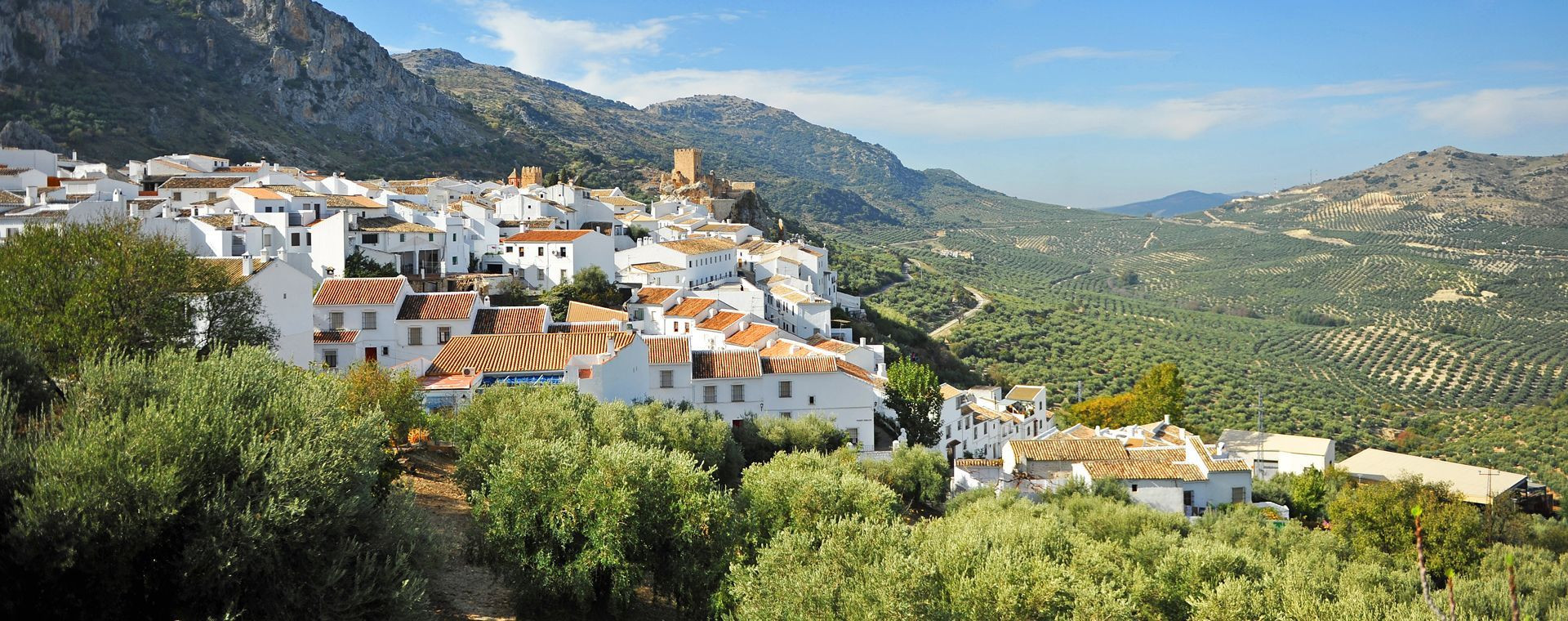 Village blanc de Zuheros et oliveraies - Andalousie - Espagne