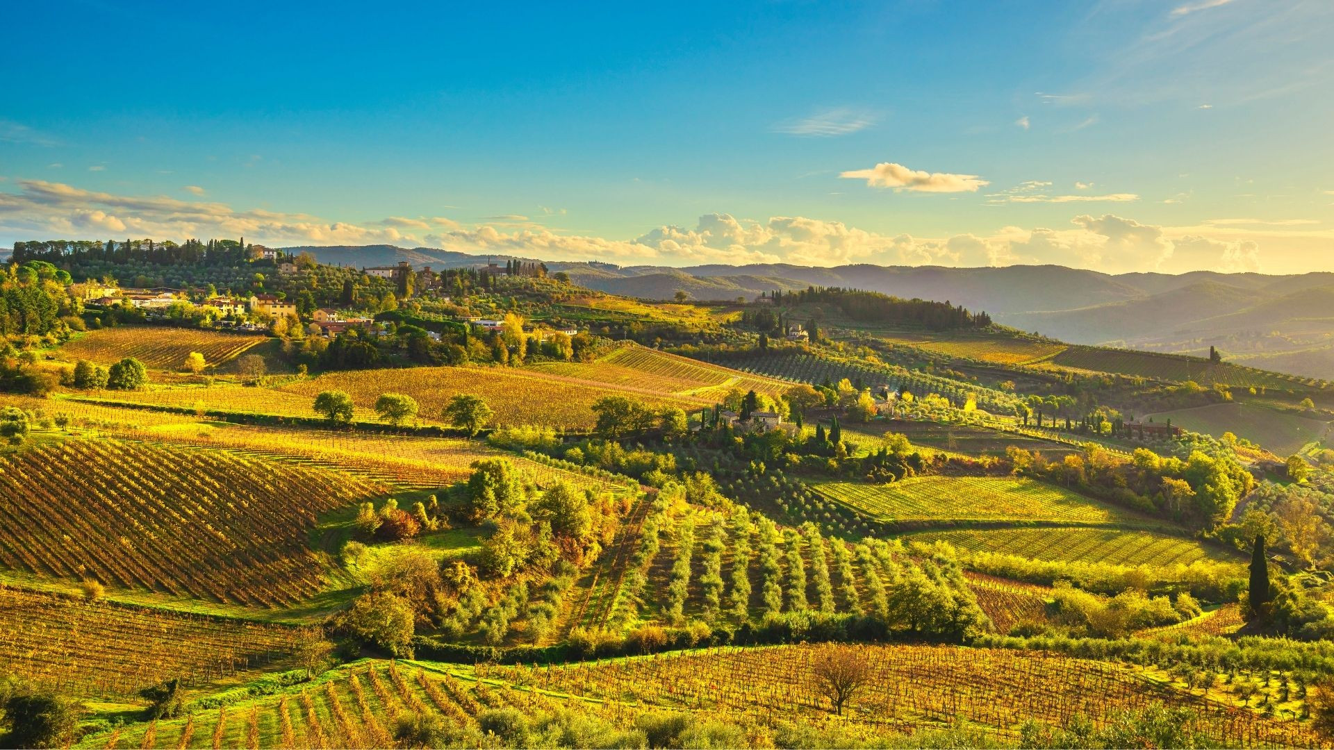 Collines de vignobles au coucher du soleil - Panzano in Chianti - Toscane, Italie