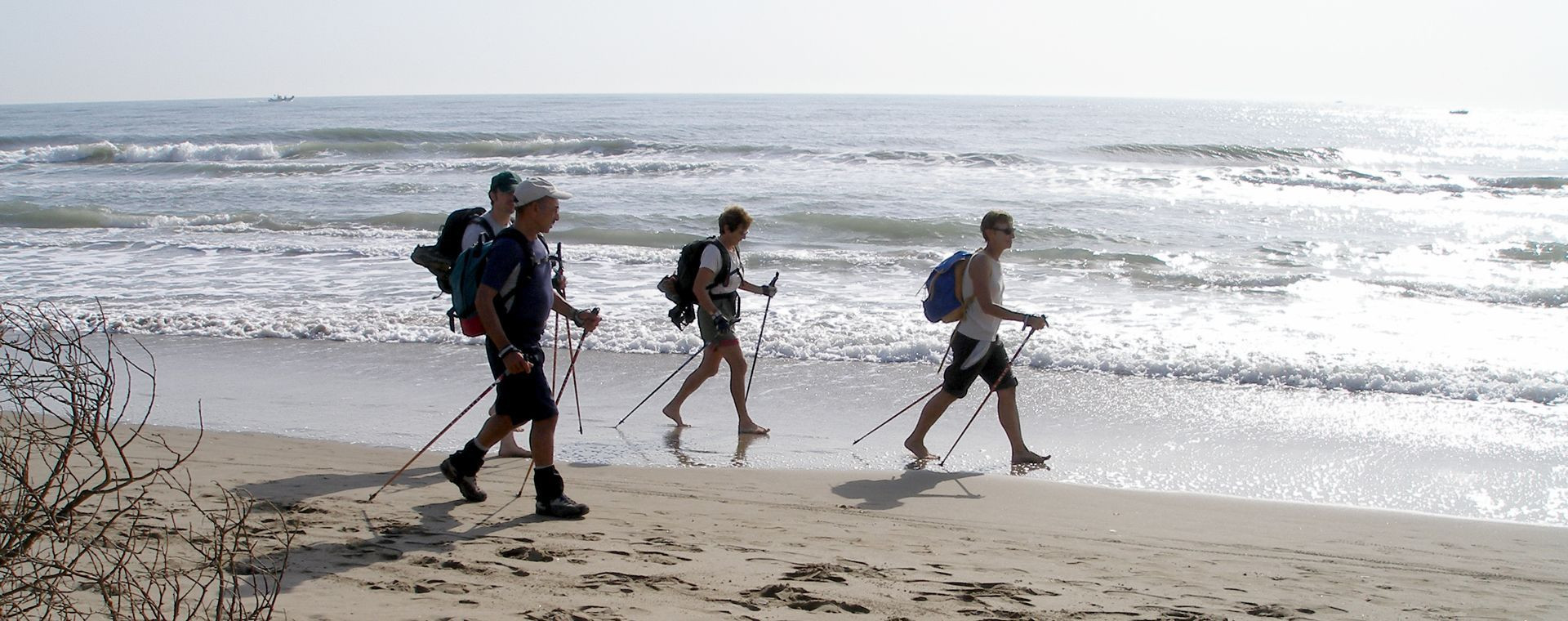 Randonneurs en marche nordique sur la plage - Camargue - France