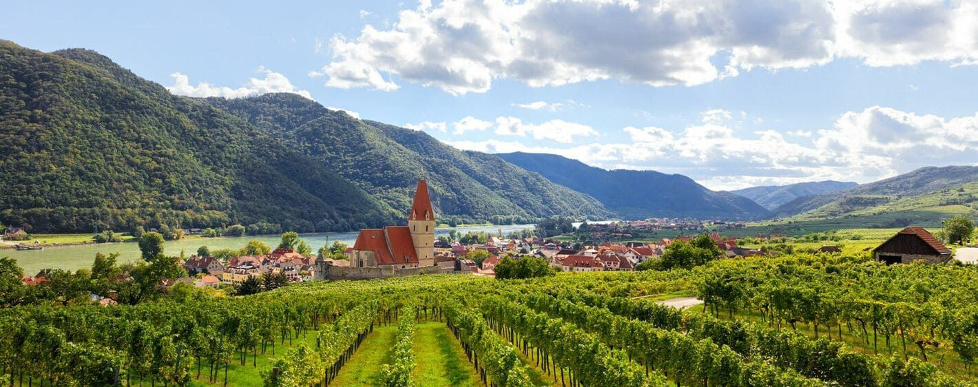 Vignobles et église de Weißenkirchen - Wachau - Autriche