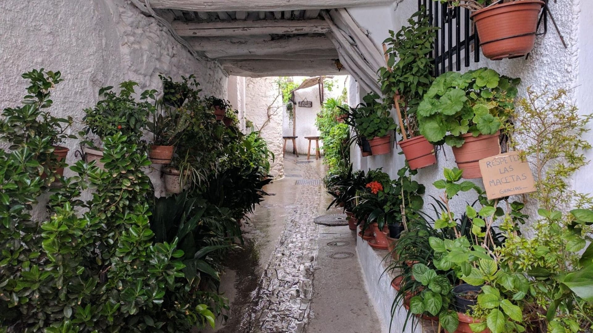 Ruelle blanchie à la chaux et plantes en pots - Alpujarras - Andalousie - Espagne