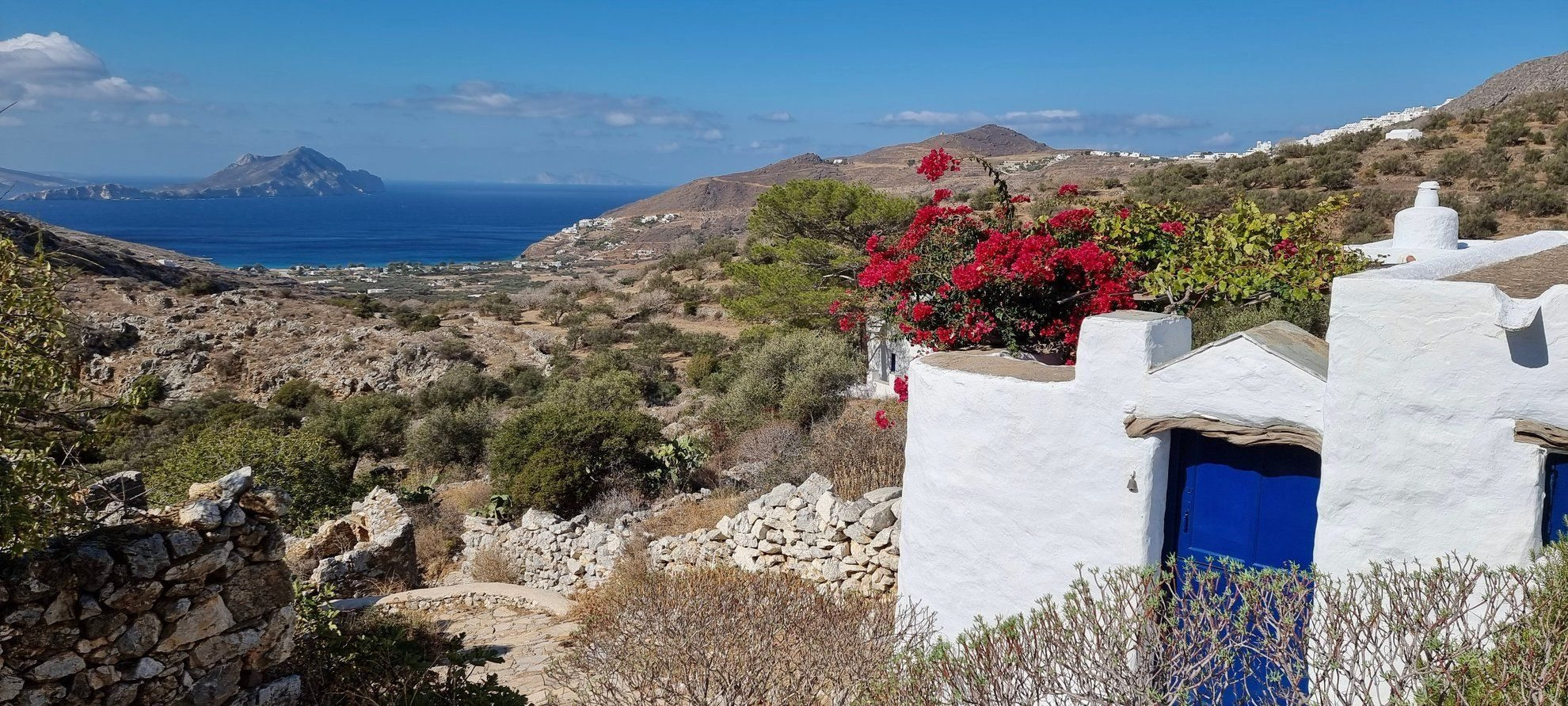 Chapelle blanche et bougainvillier face à la mer - Amorgos - Cyclades, Grèce