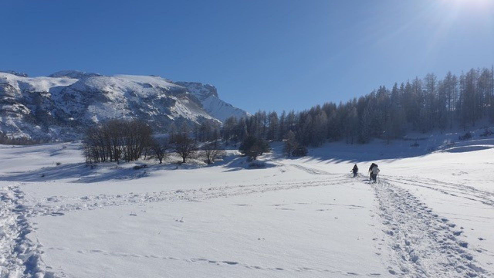 Paysage hivernal dans le Dévoluy - Hautes-Alpes - France