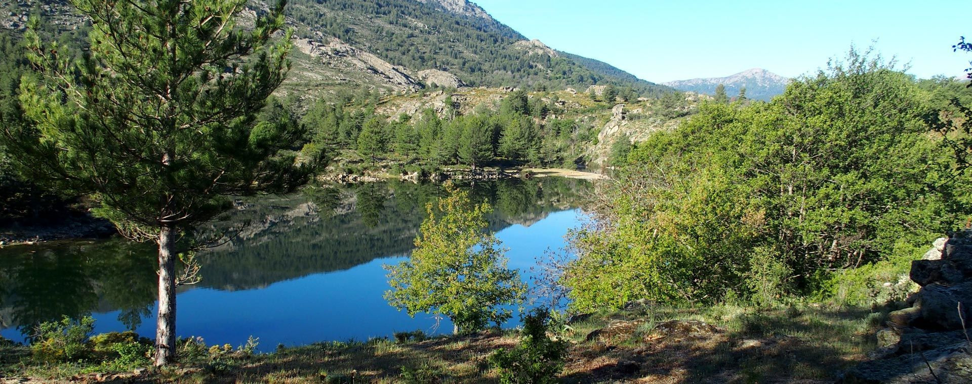 Lac de montagne et reflets en forêt - Chartreuse - Alpes - France
