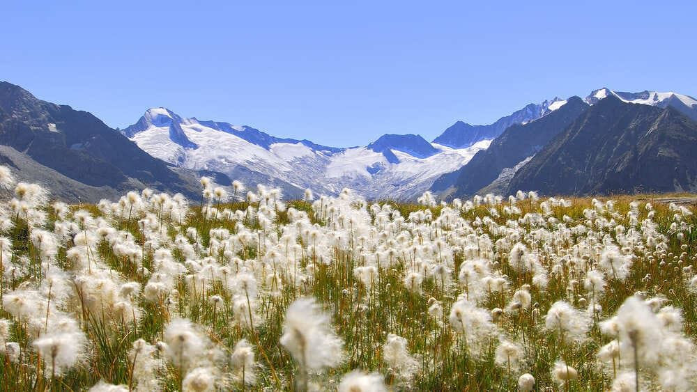 Zillertal Carchiv Tvb Mayrhofen Paul Surth - Autriche