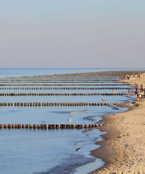 zingst_c_unsplash_.jpg