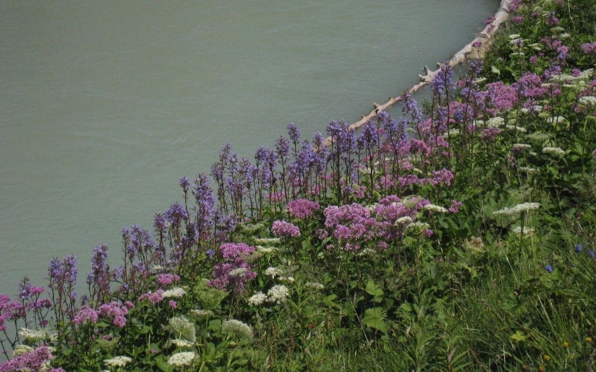 Les eaux laiteuses du lac Combal