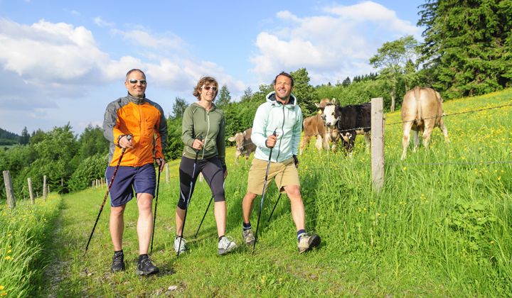 Randonneurs avec des bâtons de randonnée