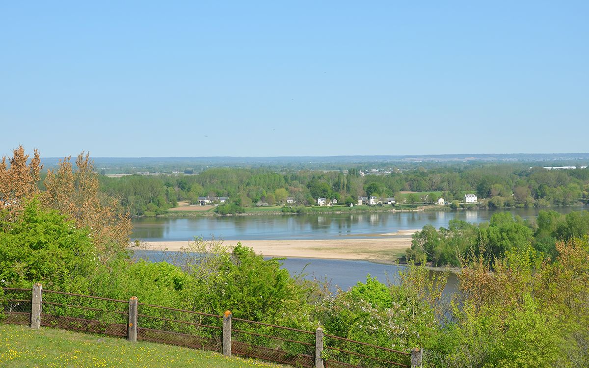 Vue sur la Loire depuis Candes-Saint-Martin