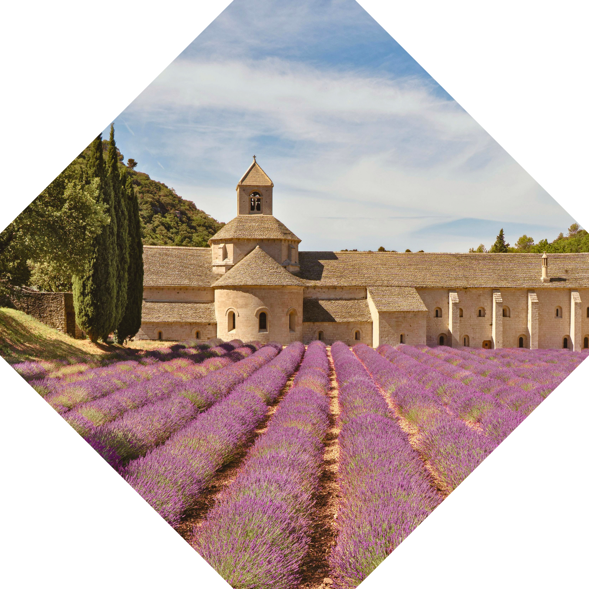 provence organized tours 