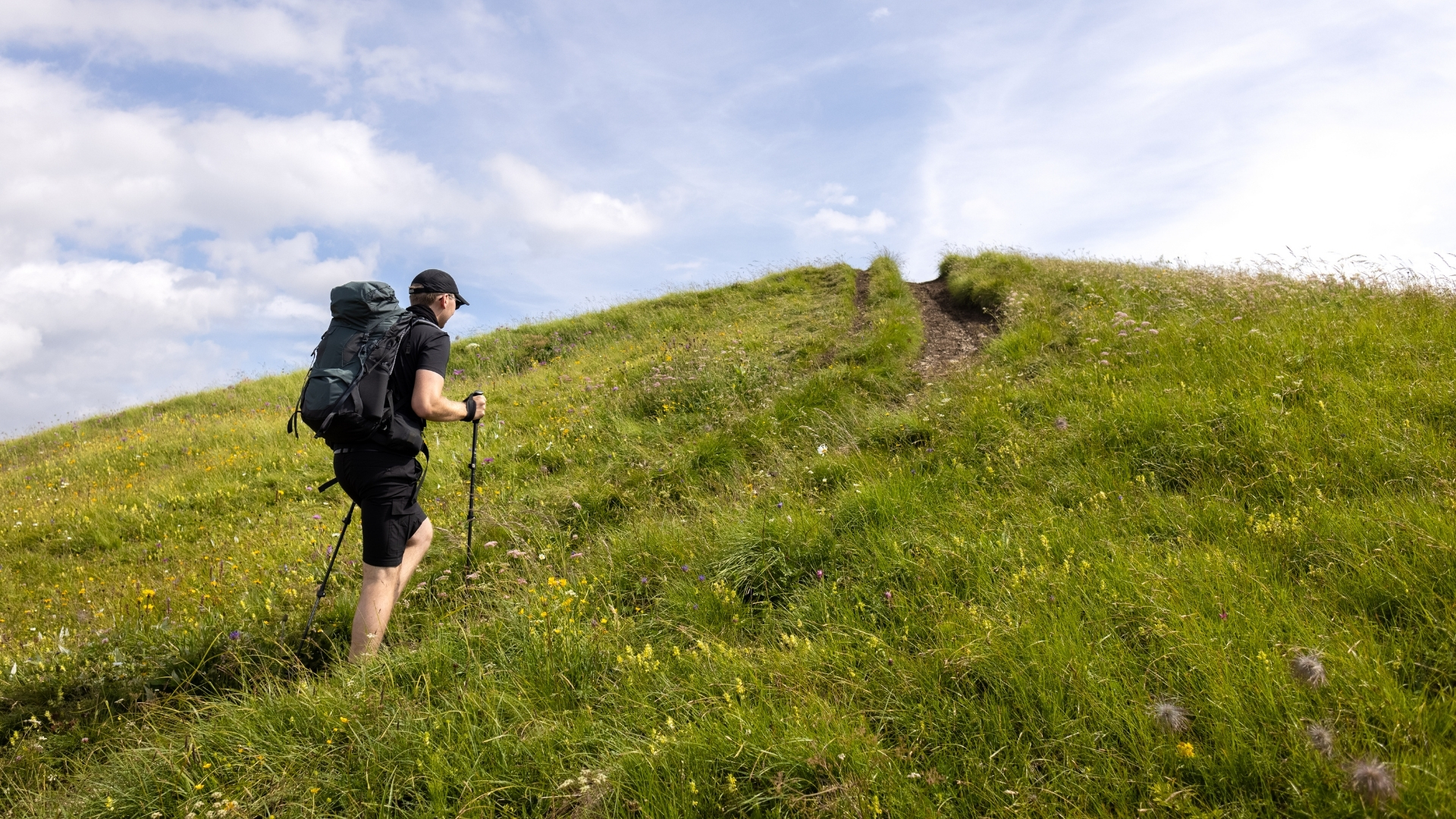 hiking poles 