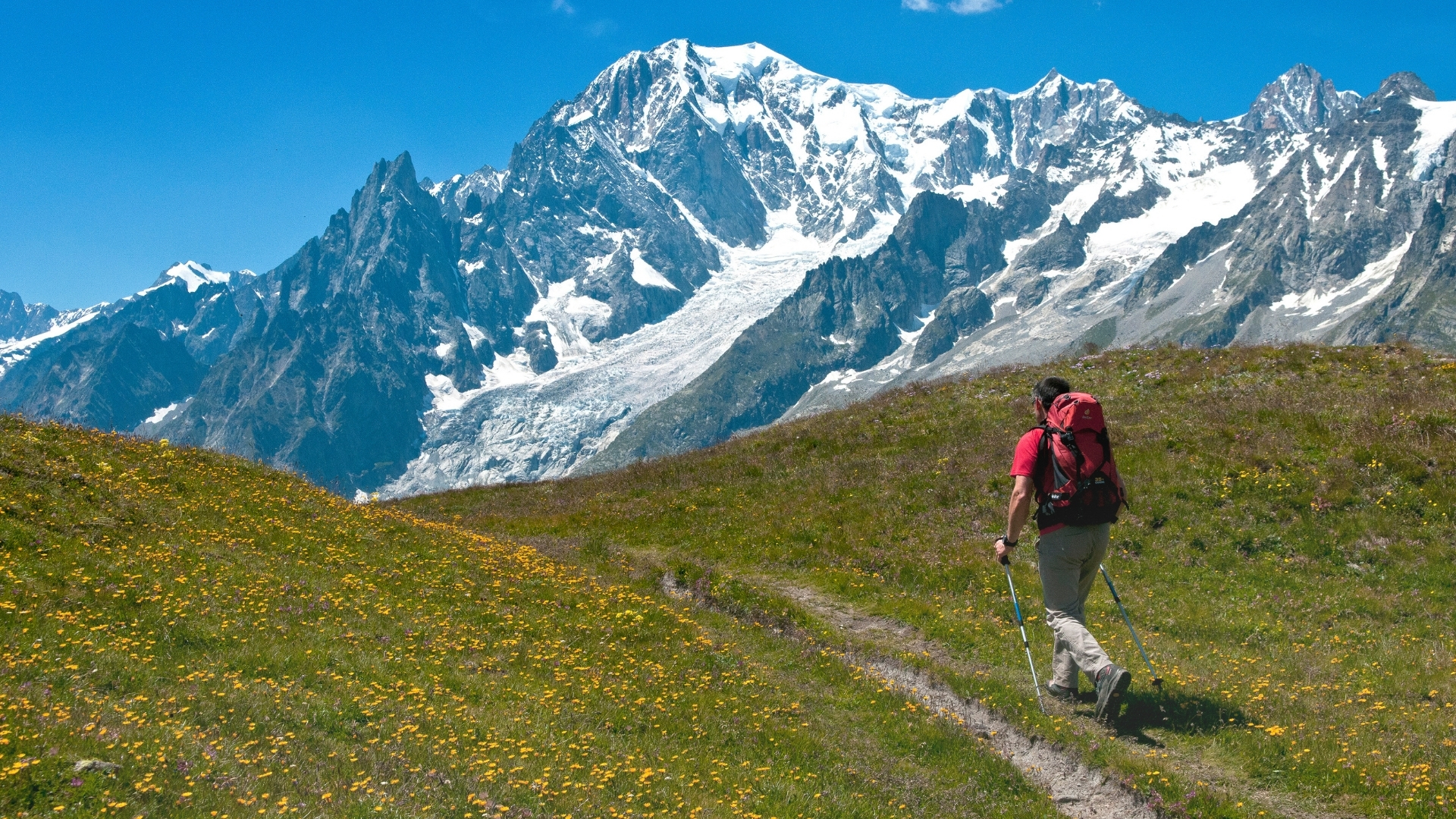 why using hiking poles?